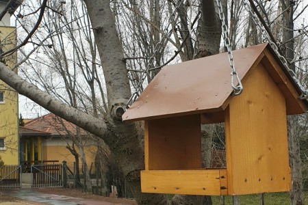 Madárbarát Iskola lett a Kölcsey Ferenc Általános Iskola