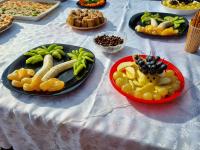gesztenyés - 