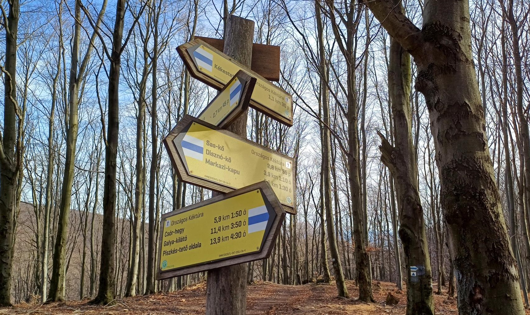 Véget ért a seregélyesiek turisztikai, természetismereti vetélkedője