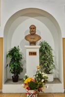 Széchenyi Pécs 12 - 