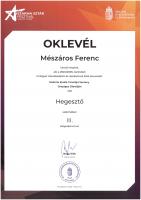MF3 - 