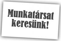 Tanári munkakör