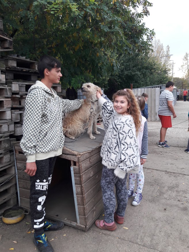 Egy tonnányi szeretet a Kölcseyből!